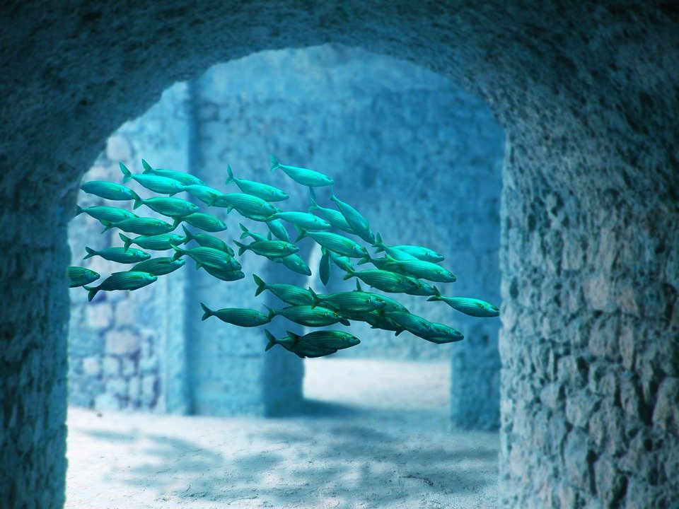 underwater-Memories of Atlantis