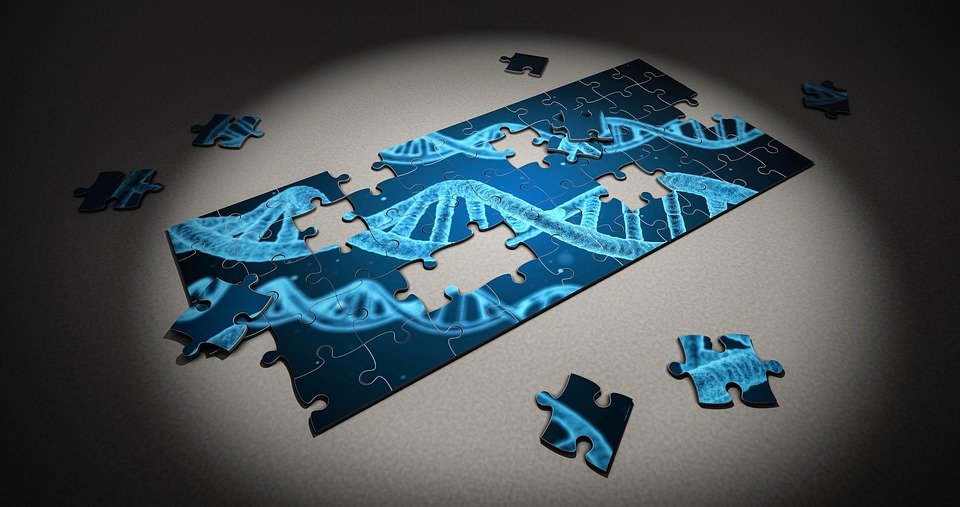 puzzle-DNA Observations from healing