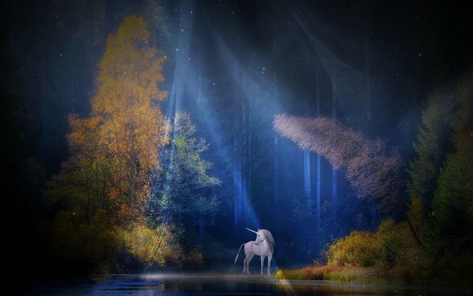 Unicorn standing - Community Retreats