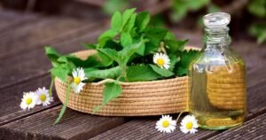 herbs-Community Retreats - Considerations for choosing spiritual practitioners