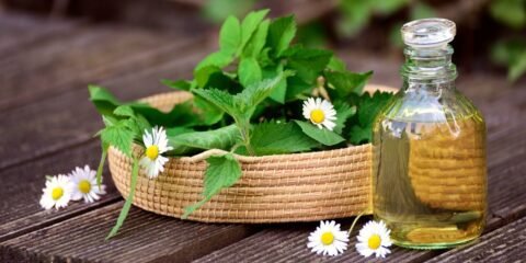herbs-Community Retreats - Considerations for choosing spiritual practitioners