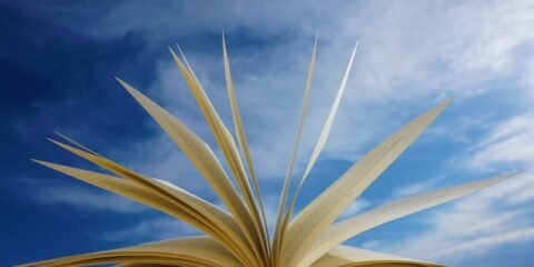 Book - The True Records The Akashic Records & Halls of Amenti