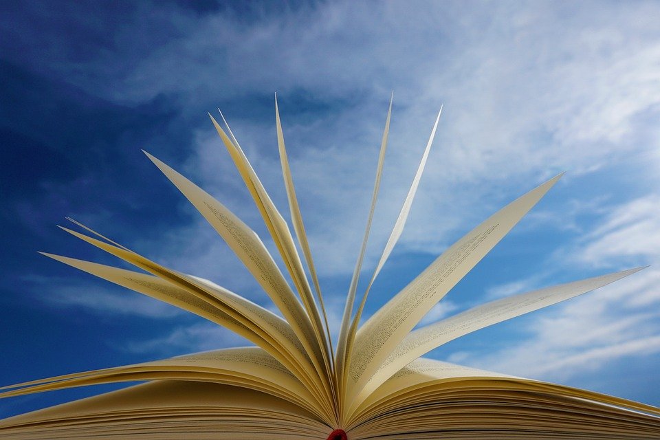Book - The True Records The Akashic Records & Halls of Amenti